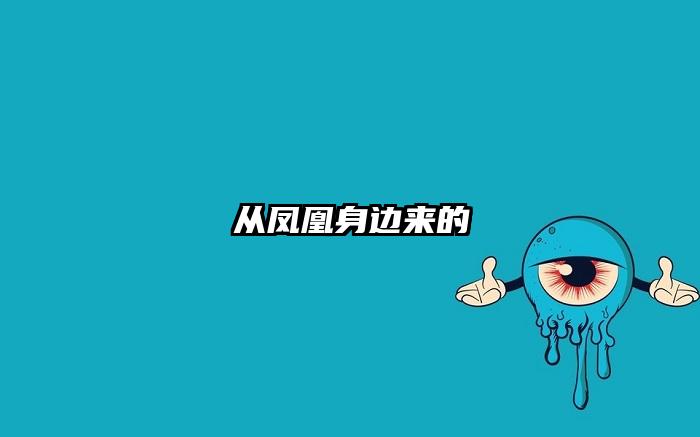从凤凰身边来的