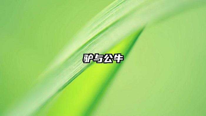 驴与公牛