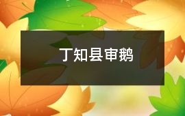 丁知县审鹅