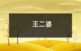 王二婆