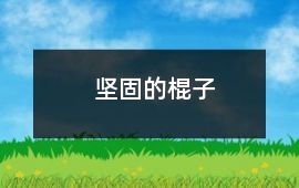 坚固的棍子