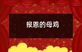 报恩的母鸡