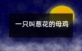 一只叫葱花的母鸡