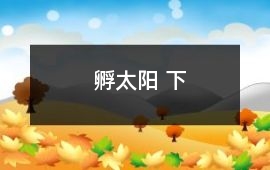 孵太阳 下