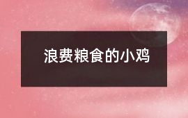 浪费粮食的小鸡