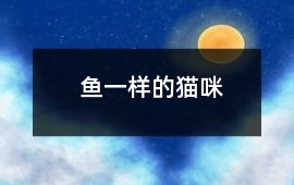 鱼一样的猫咪