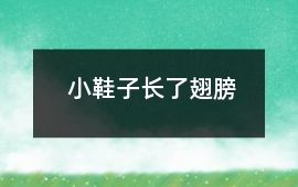 小鞋子长了翅膀