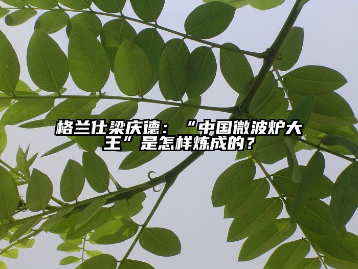 格兰仕梁庆德：“中国微波炉大王”是怎样炼成的？
