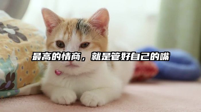 最高的情商，就是管好自己的嘴