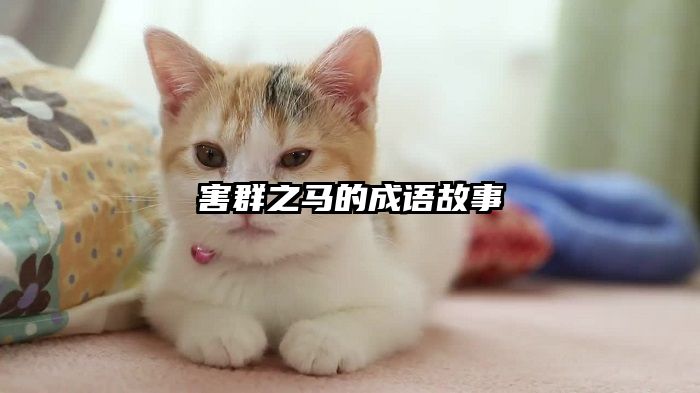 害群之马的成语故事