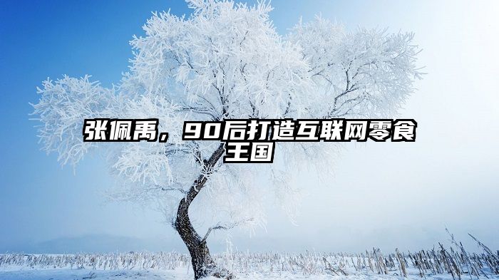张佩禹，90后打造互联网零食王国