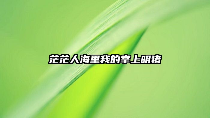 茫茫人海里我的掌上明猪