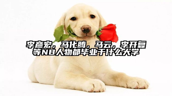 李彦宏，马化腾，马云，李开复等NB人物都毕业于什么大学