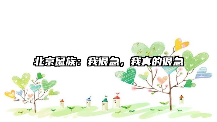 北京鼠族：我很急，我真的很急
