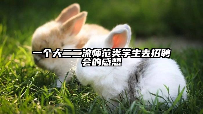 一个大二二流师范类学生去招聘会的感想