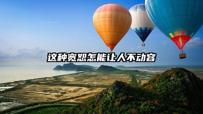这种宽恕怎能让人不动容