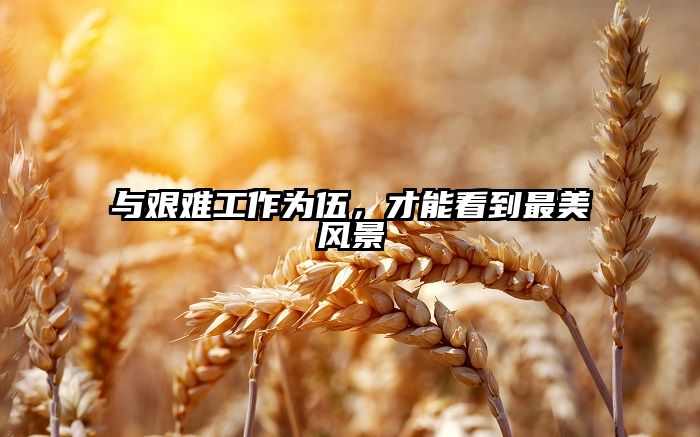 与艰难工作为伍，才能看到最美风景