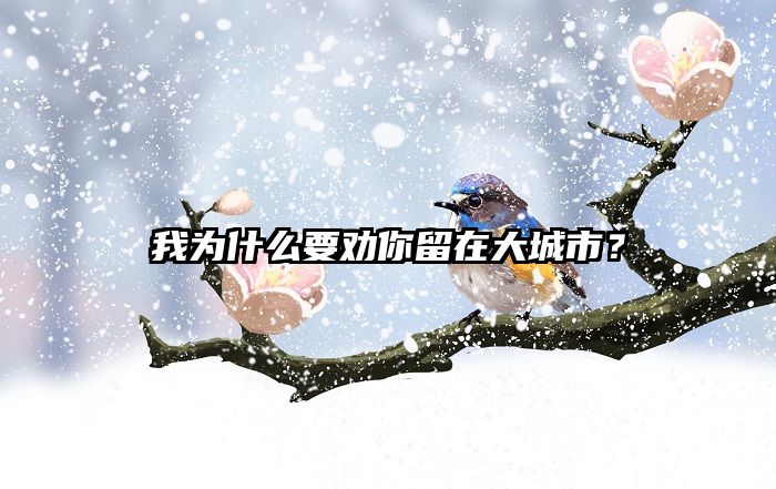 我为什么要劝你留在大城市？