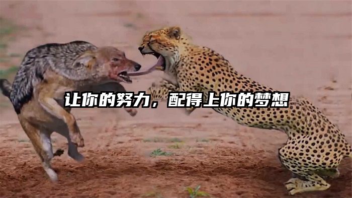 让你的努力，配得上你的梦想