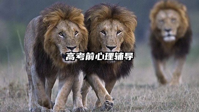 高考前心理辅导