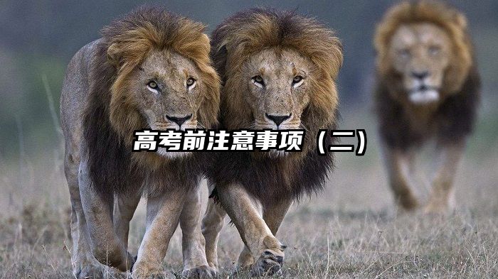 高考前注意事项（二）
