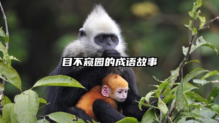 目不窥园的成语故事