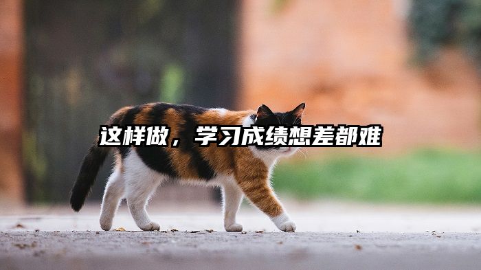 这样做，学习成绩想差都难