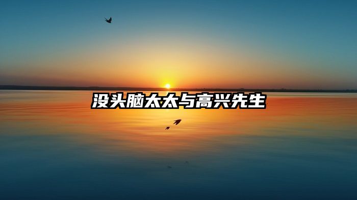 没头脑太太与高兴先生