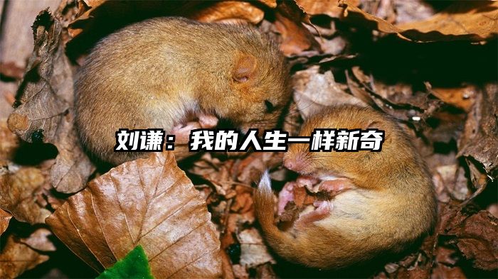 刘谦：我的人生一样新奇