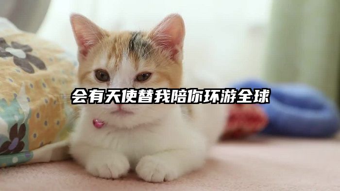 会有天使替我陪你环游全球