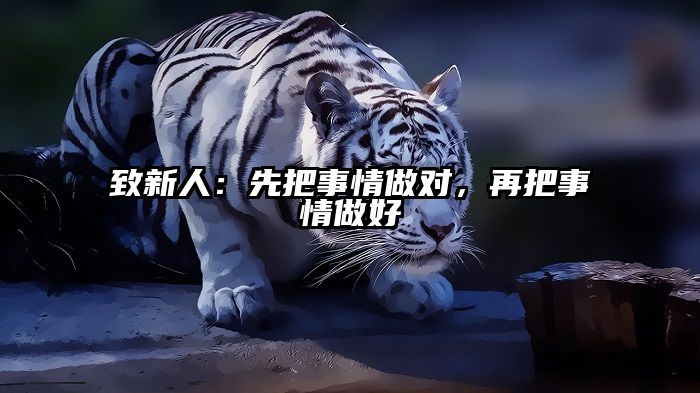 致新人：先把事情做对，再把事情做好