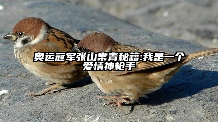 奥运冠军张山常青秘籍:我是一个爱情神枪手