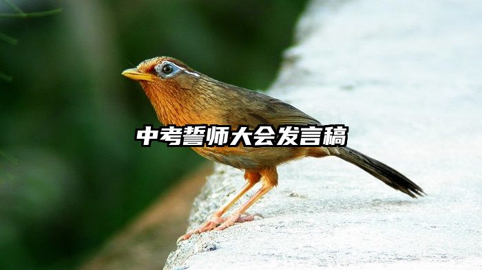 中考誓师大会发言稿