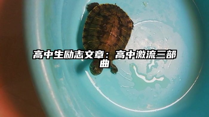 高中生励志文章：高中激流三部曲