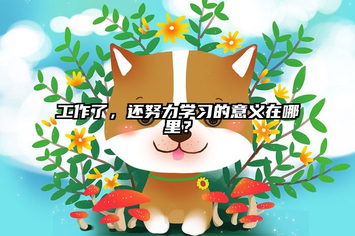工作了，还努力学习的意义在哪里？