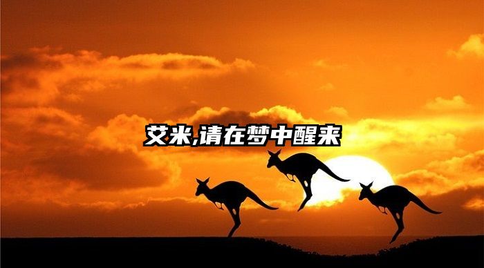 艾米,请在梦中醒来