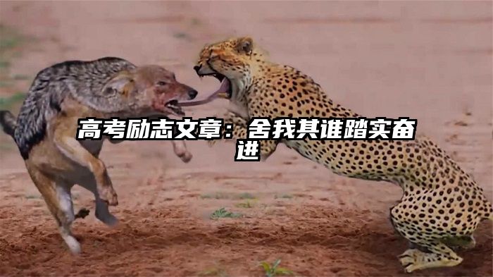高考励志文章：舍我其谁踏实奋进
