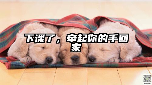 下课了，牵起你的手回家