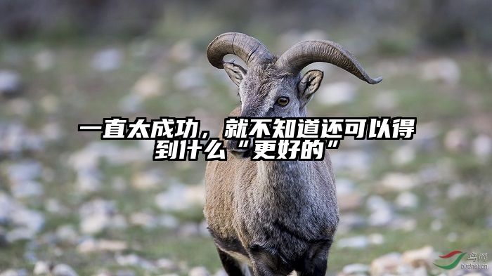一直太成功，就不知道还可以得到什么“更好的”