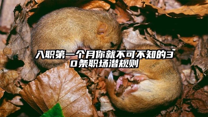 入职第一个月你就不可不知的30条职场潜规则