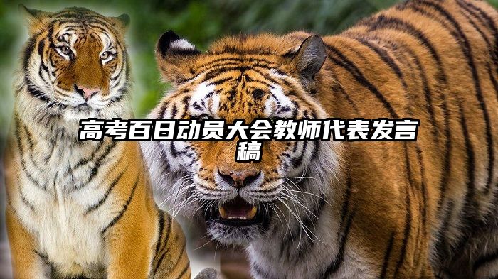 高考百日动员大会教师代表发言稿