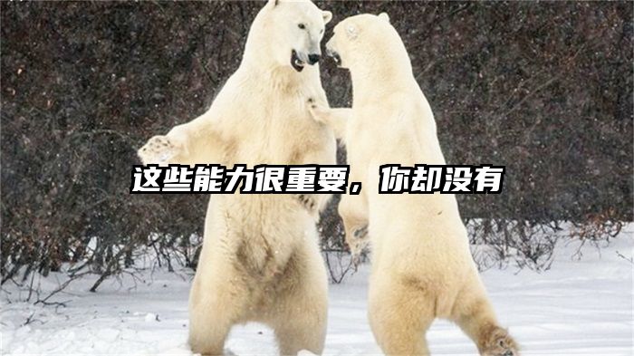 这些能力很重要，你却没有