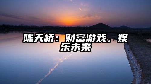 陈天桥：财富游戏，娱乐未来