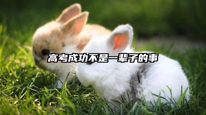 高考成功不是一辈子的事