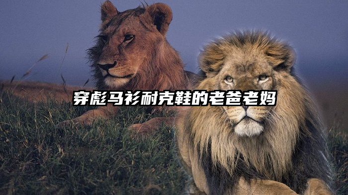 穿彪马衫耐克鞋的老爸老妈