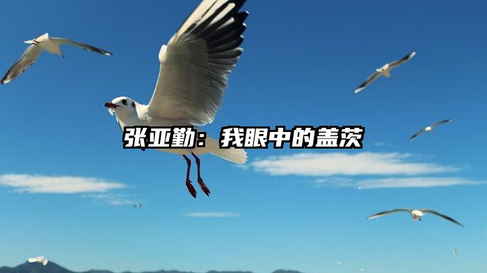 张亚勤：我眼中的盖茨