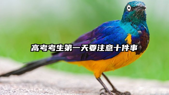 高考考生第一天要注意十件事