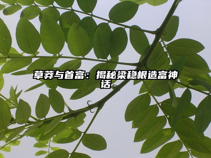 草莽与首富：揭秘梁稳根造富神话