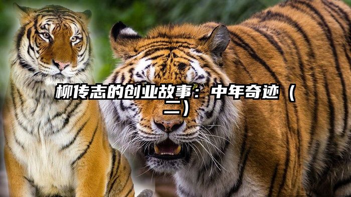 柳传志的创业故事：中年奇迹（二）