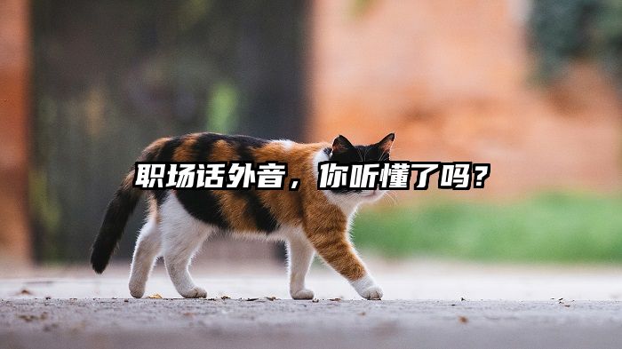 职场话外音，你听懂了吗？